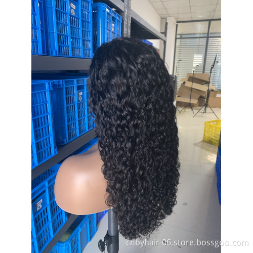 10A Grade Human Hair Brazilian Virgin Hair Lace Front Wigs Cuticle Aligned Hair Wig for Black Women